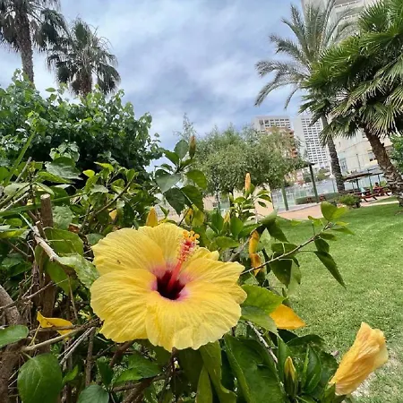 Gemelos 22-3-12 * Benidorm